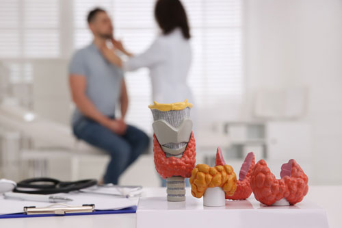 Head & Neck Surgical Oncology